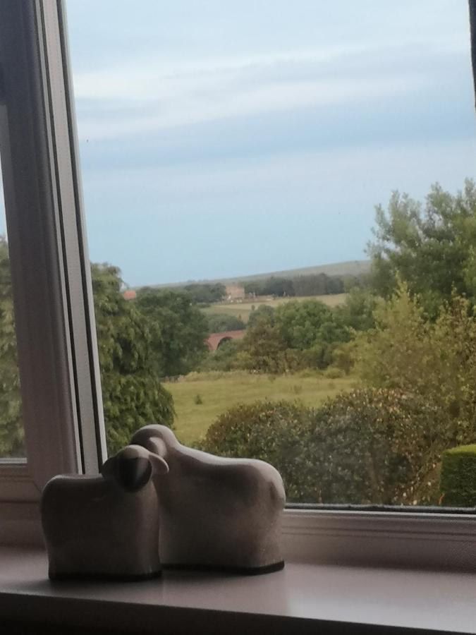 Greystones Guesthouse Whitby Esterno foto